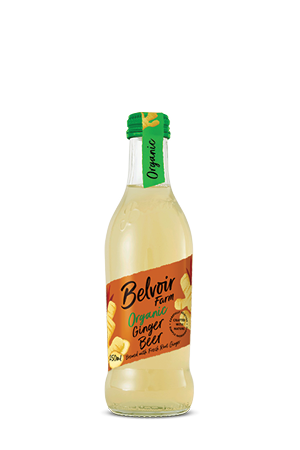 Ginger Beer Pressé BIO